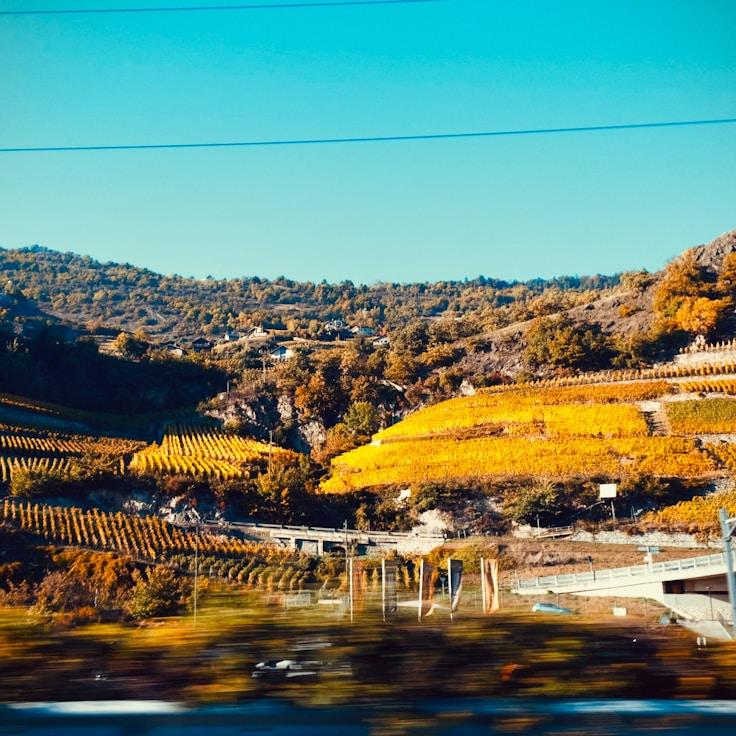 Family terraces and cafés for calm evenings in Rome